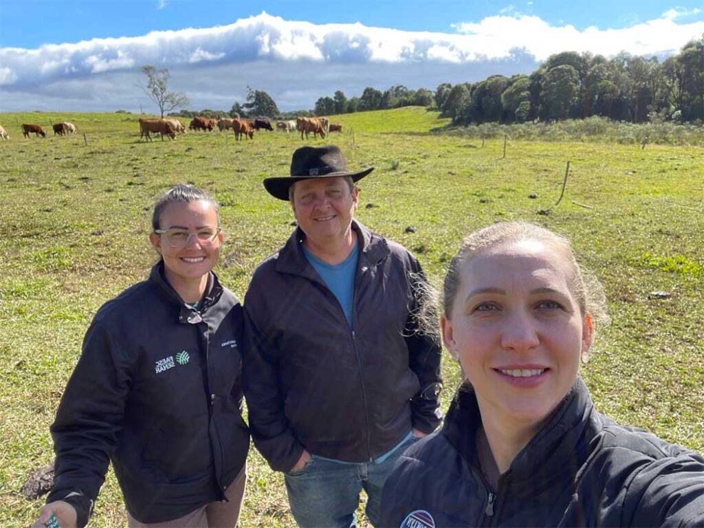 Programa saúde no campo