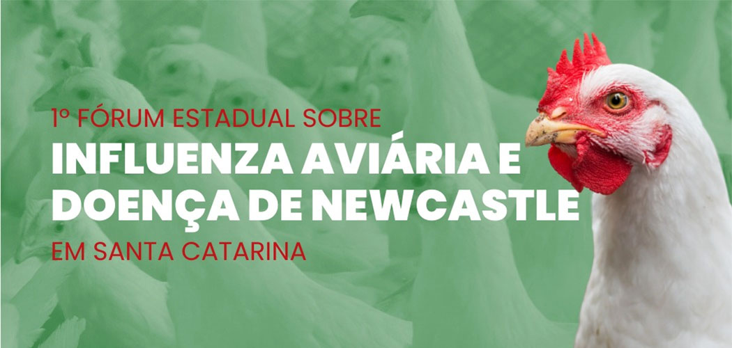 SC Fórum sobre Influenza Aviária