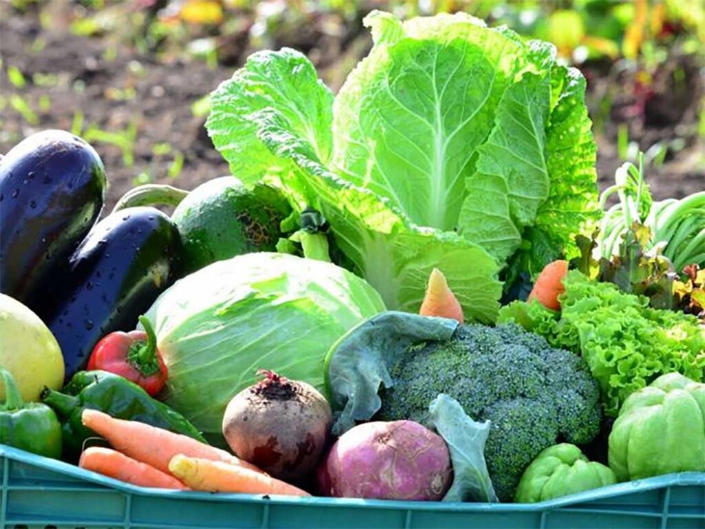 Segurança alimentar