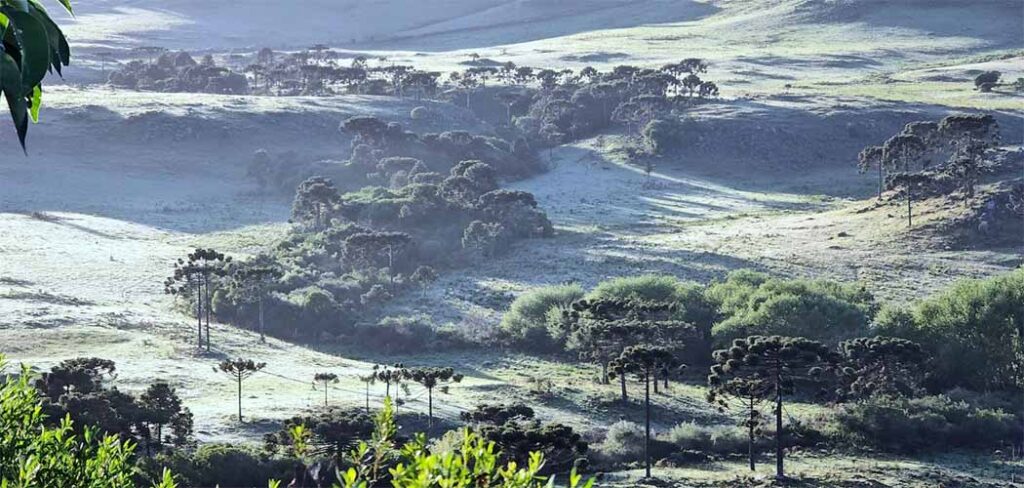 Temperatura negativa em SC em 2025