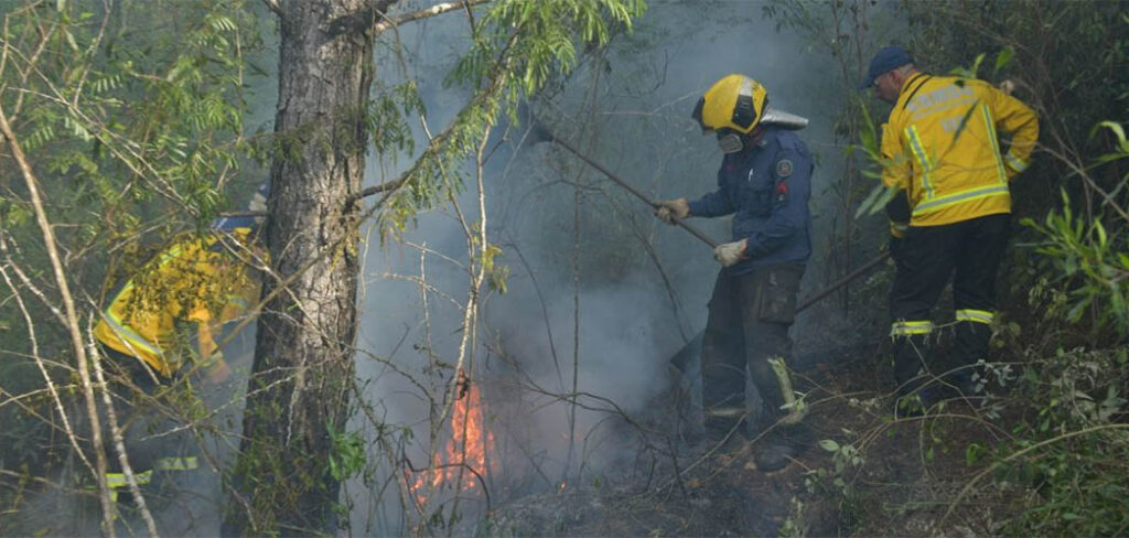 CBMSC alerta para os cuidados com incêndios em vegetação durante o outono em SC