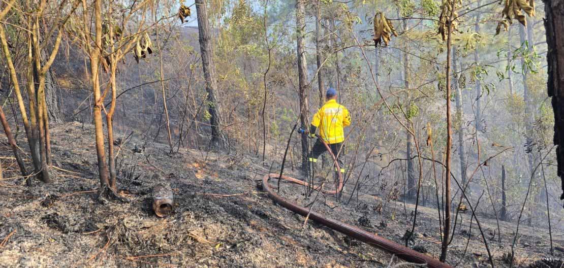 CBMSC alerta para os cuidados com incêndios em vegetação durante o outono em SC