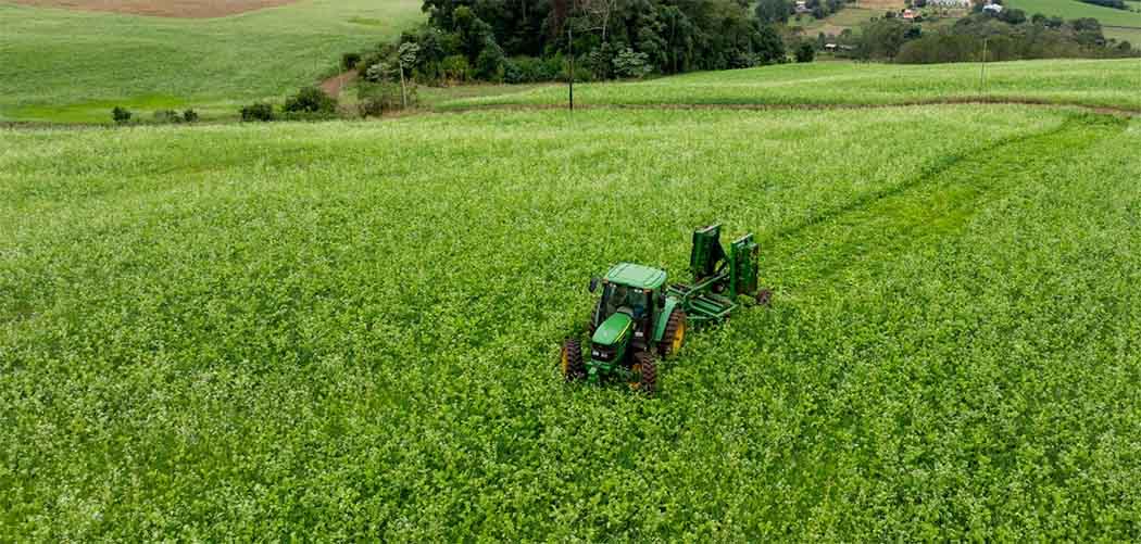 SC investe em agricultura sustentável com distribuição de kits para cobertura vegetal