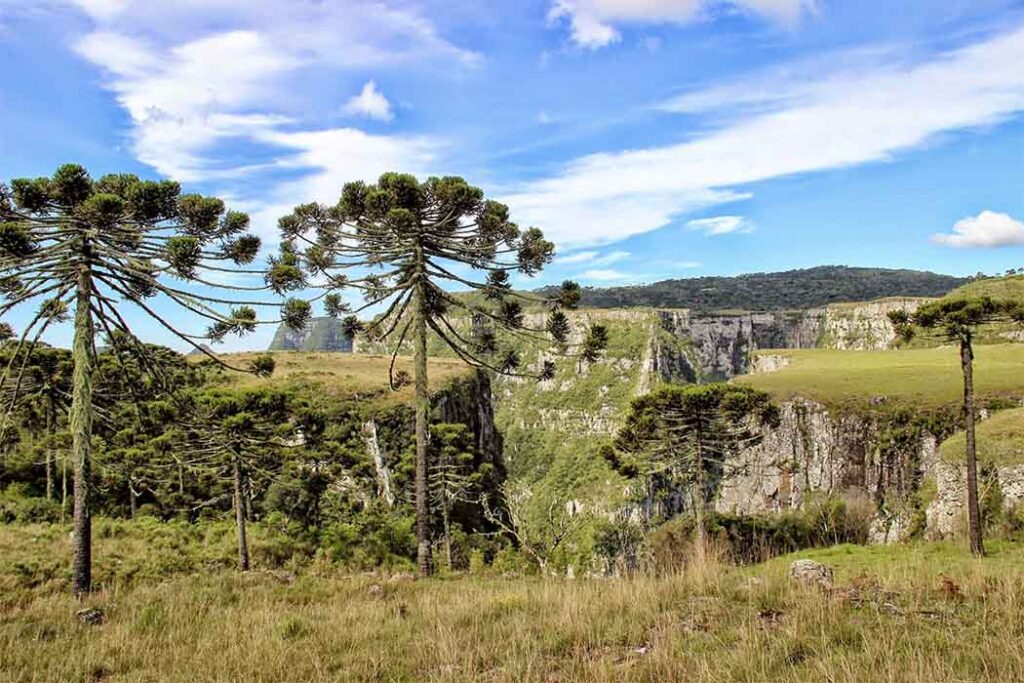 Bom Jardim da Serra