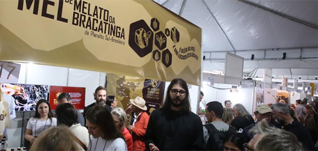 IG Mel de Melato de Bracatinga