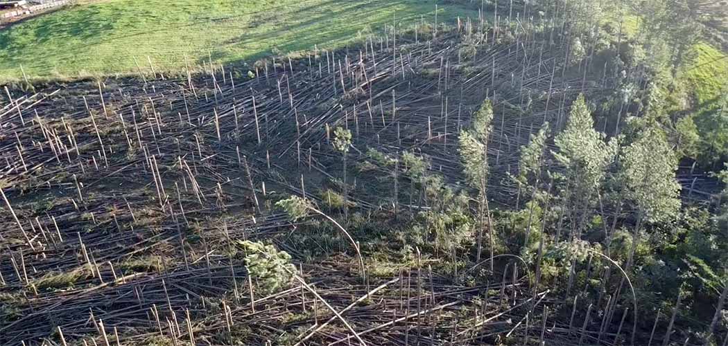 Tornado é registrado em Passos Maia na madrugada da segunda-feira (23)