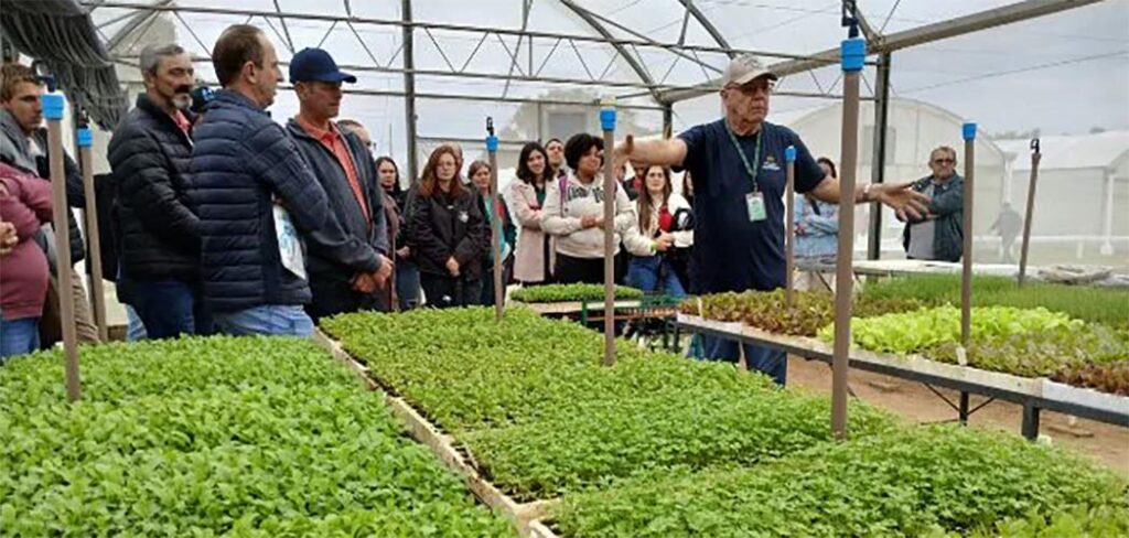 O cultivo suspenso de hortaliças foi outra inovação apresentada no evento que humaniza o trabalho no campo