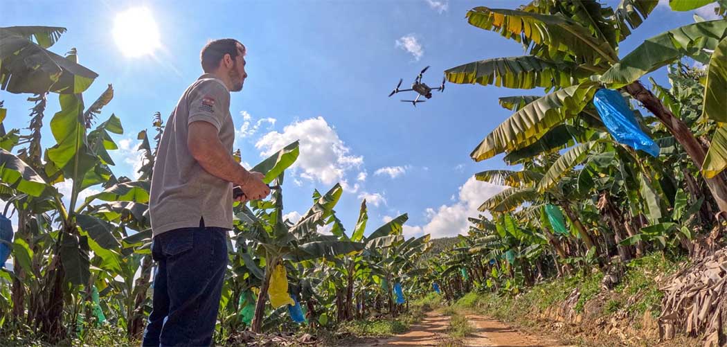 Diversos trabalhos ao redor do mundo já demonstraram o potencial do uso de drones multiespectrais no monitoramento de lavouras de banana/Foto: Divulgação/Secom GOVSC