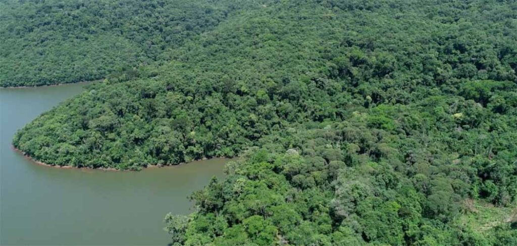 Recurso suplementar vai impulsionar projetos já aprovados na chamada nacional do PELD, com foco em ecossistemas catarinenses e sustentabilidade a longo prazo/Foto: Adrio Centeno/ IMA
