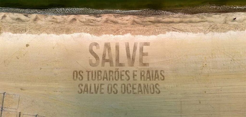 Oceanic Aquarium lançou a campanha “Salvem os tubarões e raias”