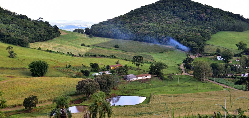 Plano Safra em SC 01