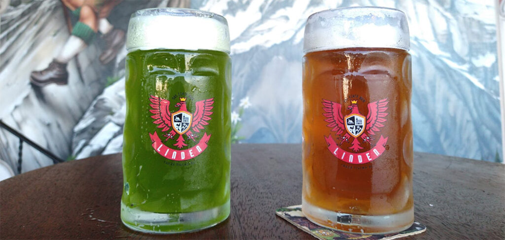 Dia Internacional da Cerveja (01/08)