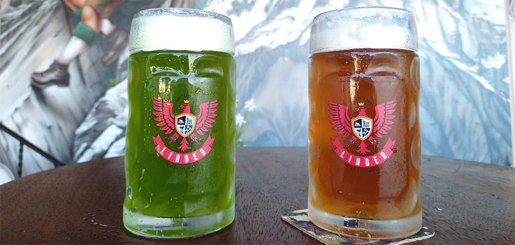 Dia Internacional da Cerveja (01/08)
