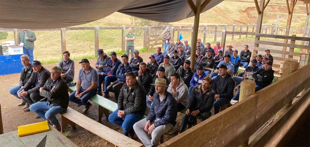 Dia de Campo bovinocultura de corte