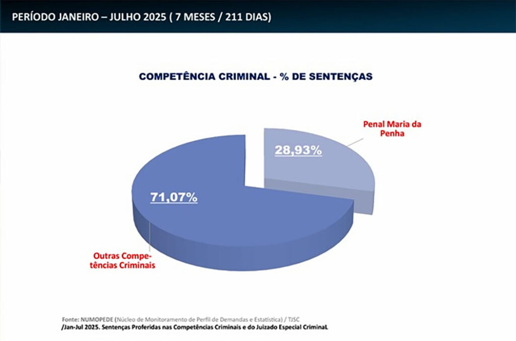 Violência doméstica contra mulheres em SC 