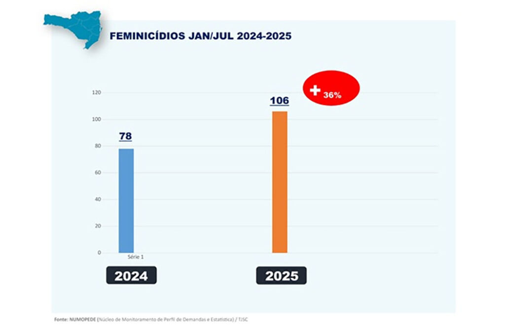 Violência doméstica contra mulheres em SC 