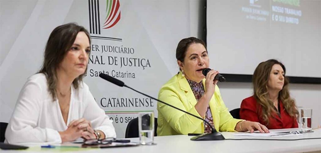 Violência doméstica contra mulheres em SC