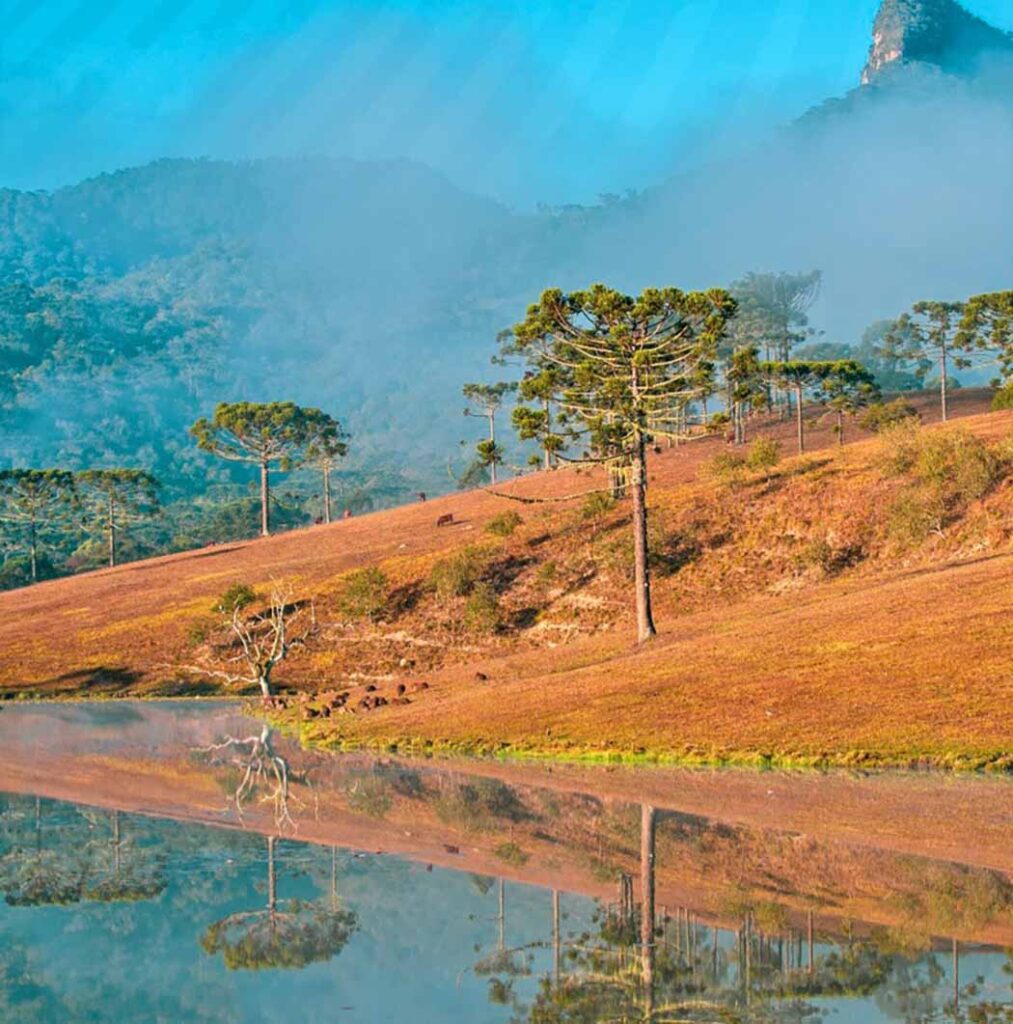 Wine Run Serra Catarinense