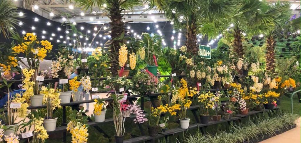 Festa das Flores de Joinville está aberta a venda de ingressos on line