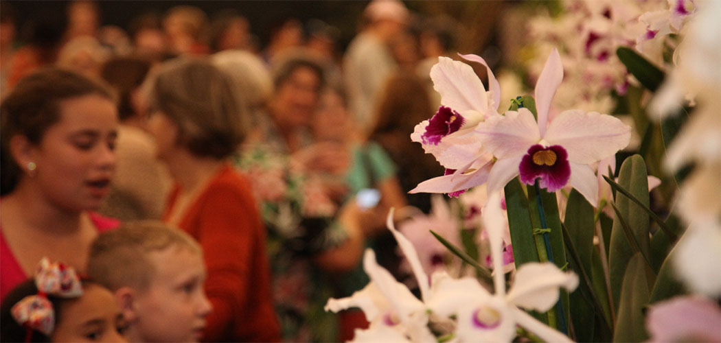 Festa das Flores de Joinville está aberta a venda de ingressos on line