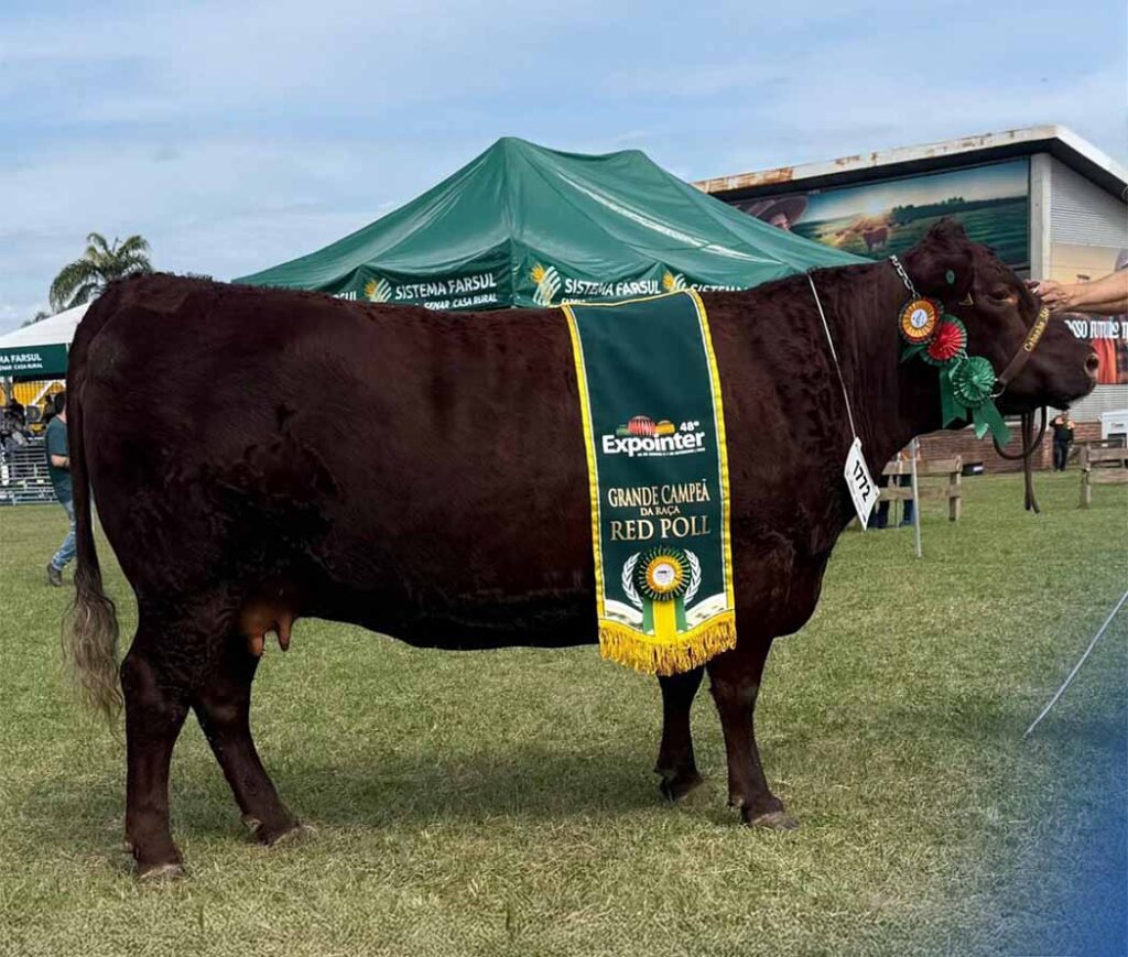 Água Doce em destaque na Expointer 2025