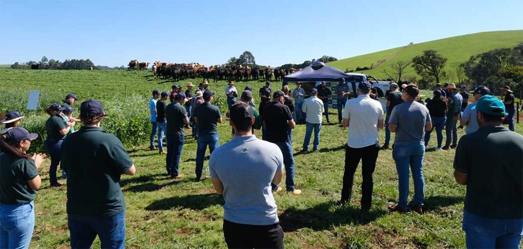 Dia de Campo dedicado aos cultivares de inverno reuniu produtores rurais em Treze Tílias