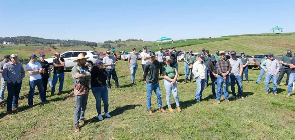 Dia de Campo em Treze Tílias