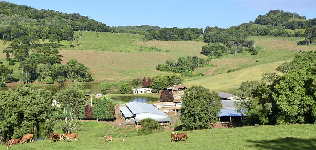 Santa Catarina terá um novo marco para fortalecer a agricultura familiar