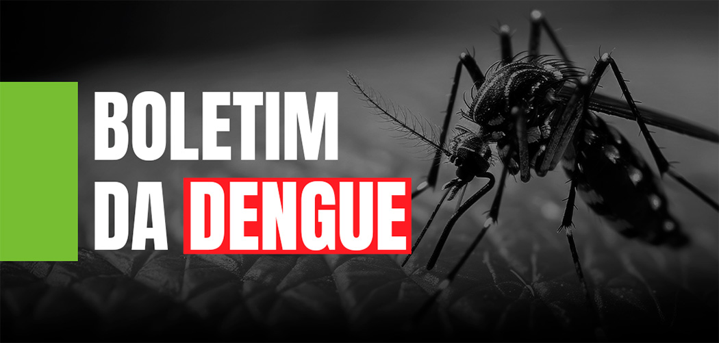 SC registra mais de 52 mil focos do mosquito Aedes aegypti no estado