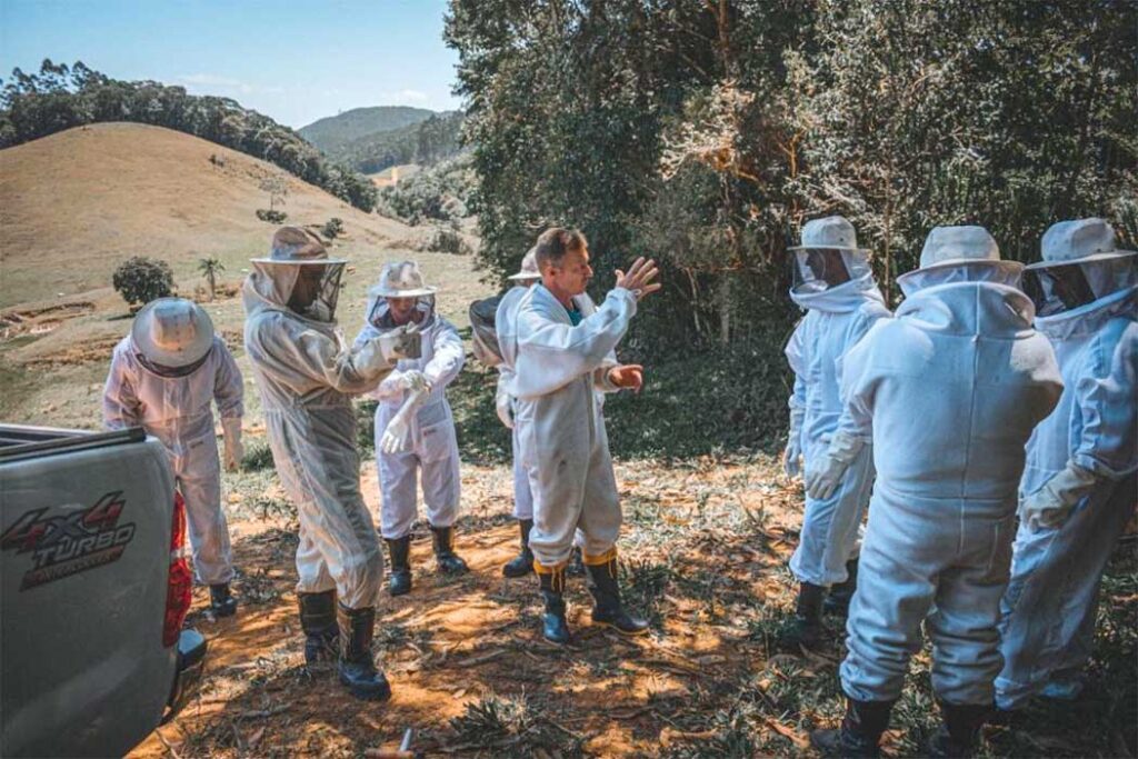 CBMSC ocorrências com abelhas na primavera