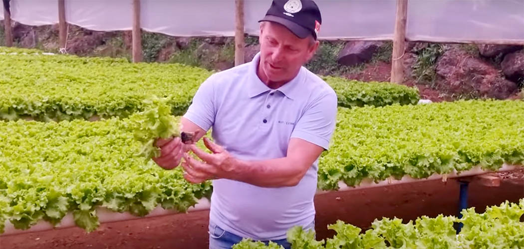 Dia da Agroecologia