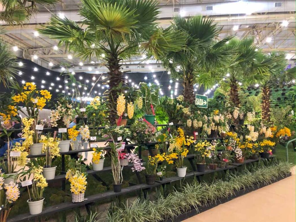 Festa das Flores de Joinville 