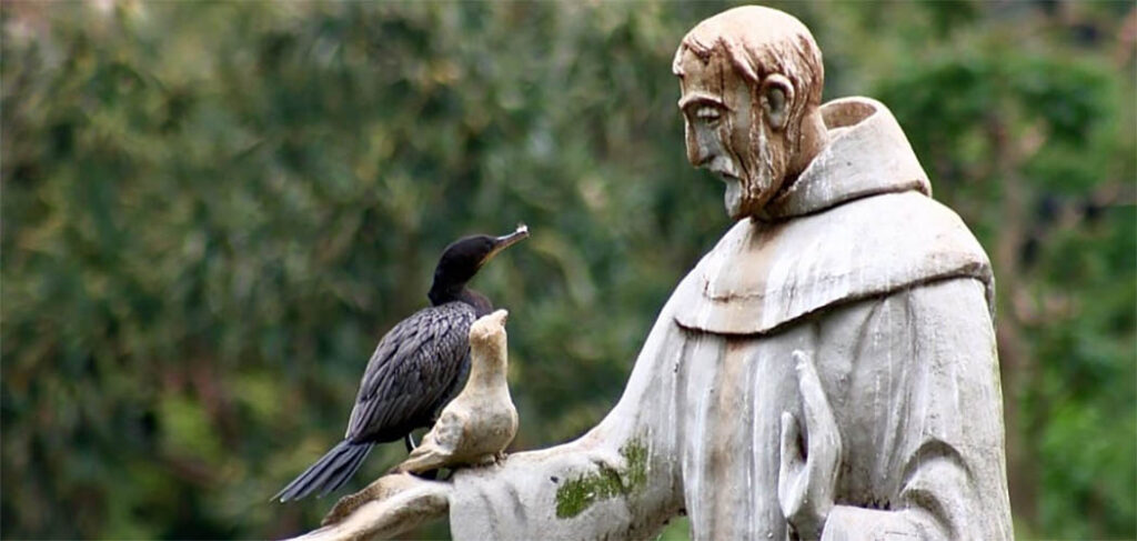 São Francisco de Assis