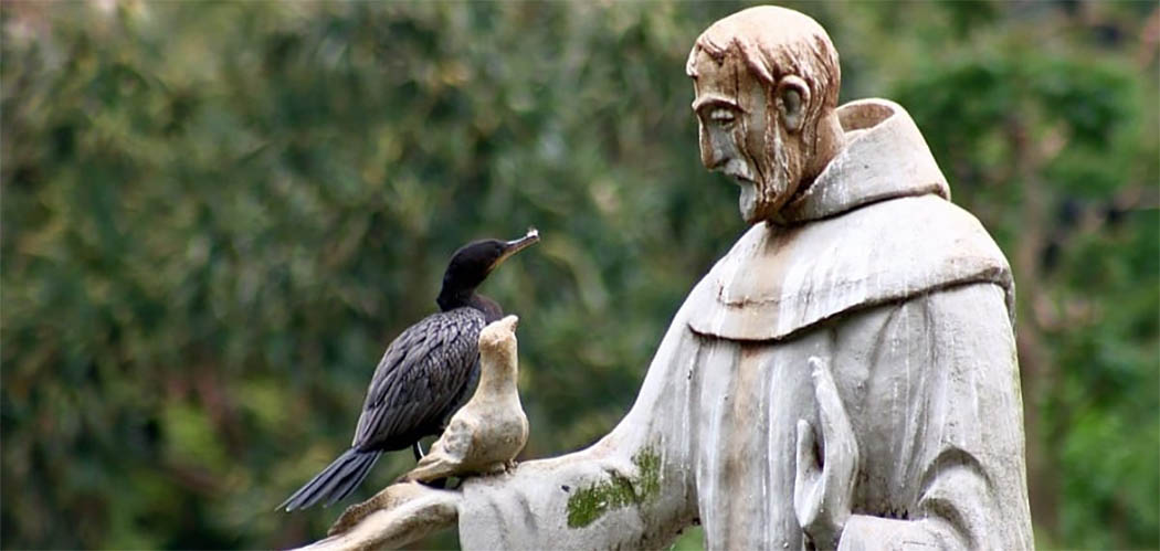 São Francisco de Assis