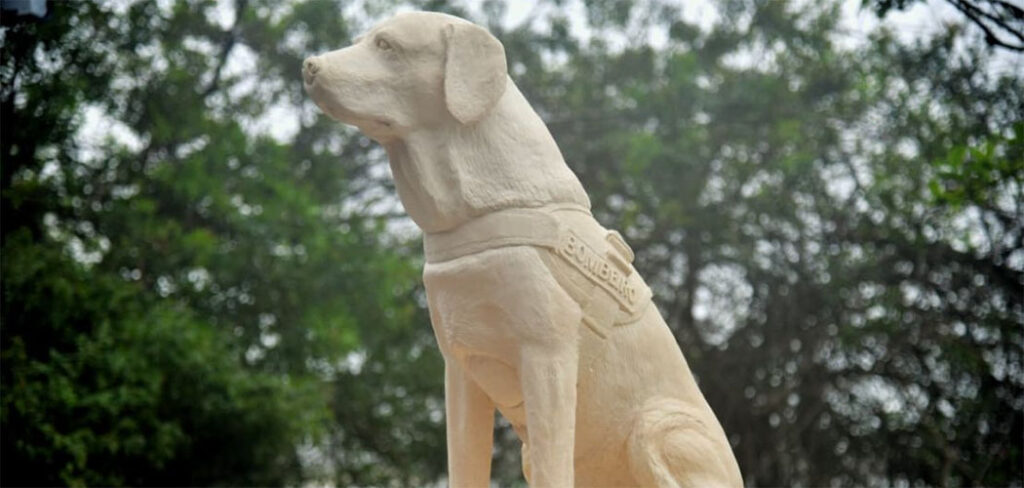 CBMSC inaugurou monumento em homenagem a Ice, o 1º cão guarda-vidas do Brasil
