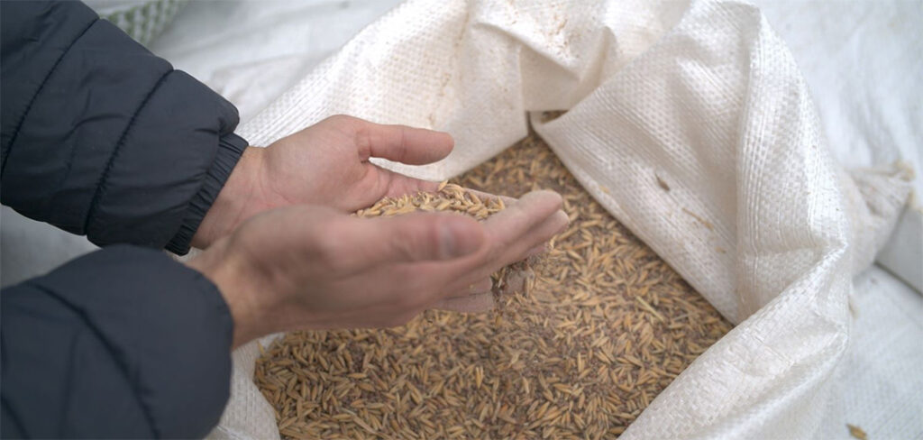 Com mais de 2,3 mil kits entregues, Solo Saudável impulsiona produtividade e preserva a terra em SC