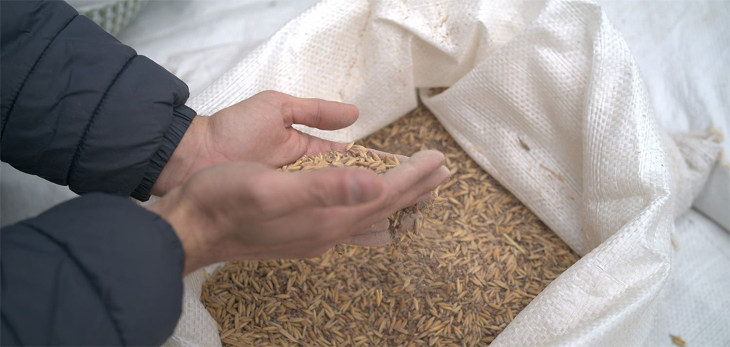 Com mais de 2,3 mil kits entregues, Solo Saudável impulsiona produtividade e preserva a terra em SC