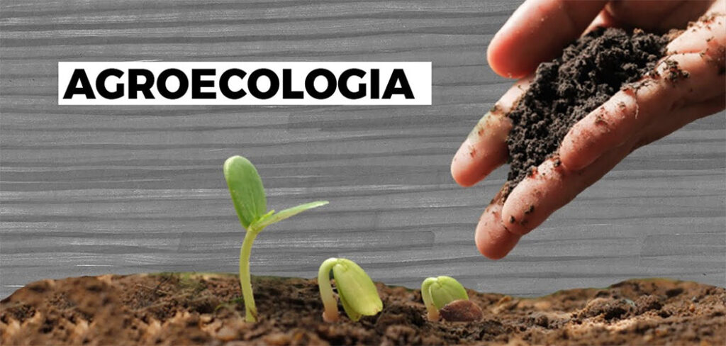 Agroecologia