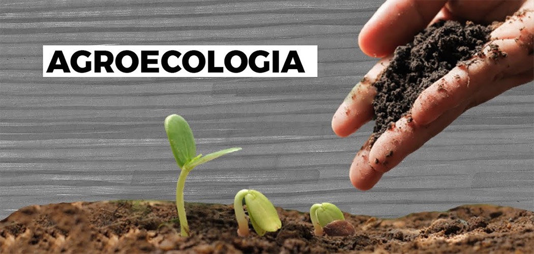 Agroecologia