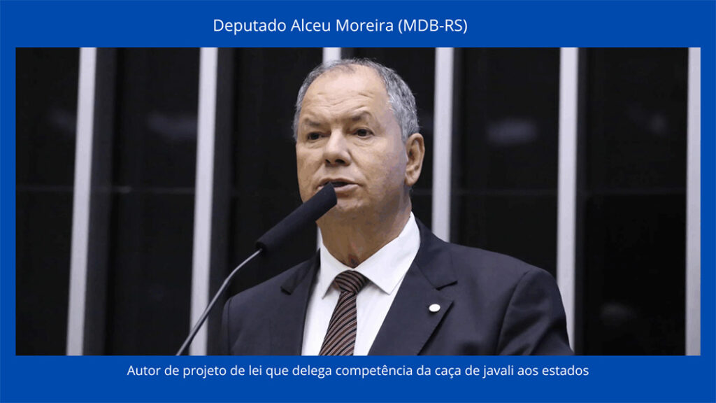 Congresso reage à judicialização do controle de javalis