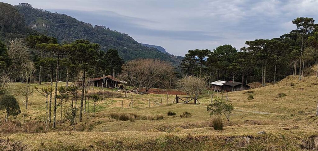 Desenvolvimento Rural