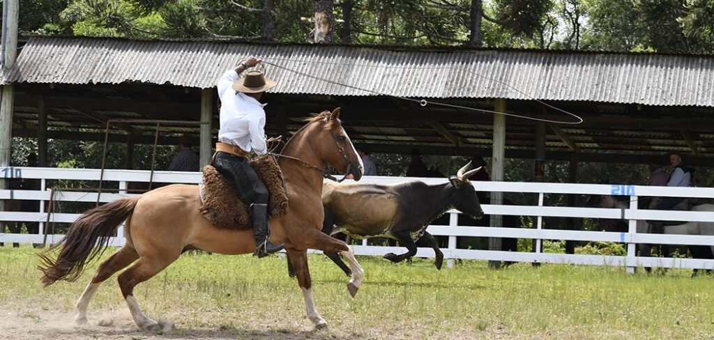 Cultura e tradição: Rodeio do Querência reúne provas campeiras e fandangos em Canela