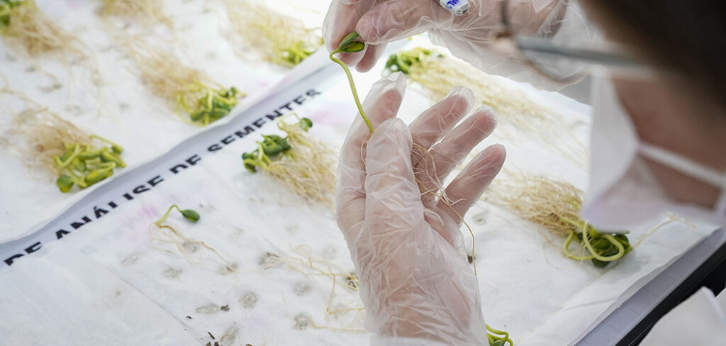 LAS Copercampos alcança 100% de conformidade em ensaio de proficiência para soja
