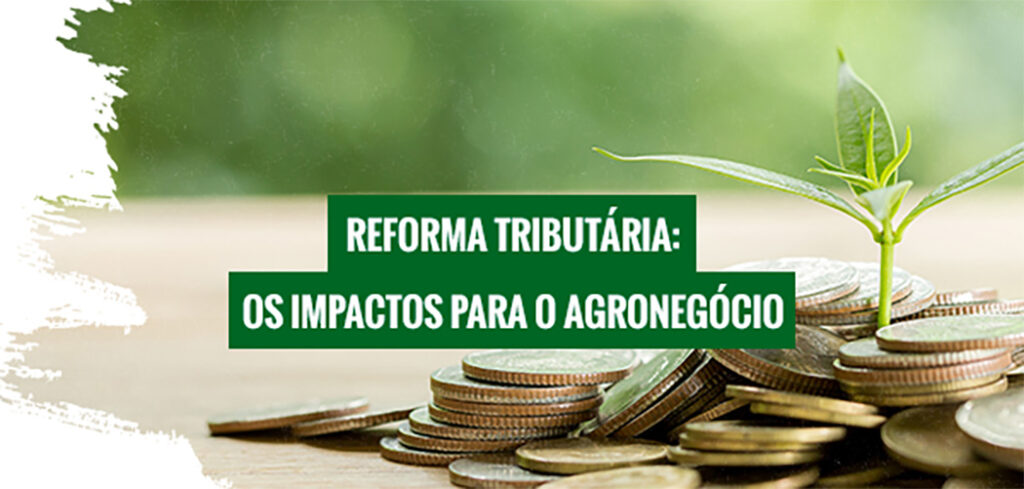 A reforma parte de princípios corretos: neutralidade, transparência e não cumulatividade mais ampla