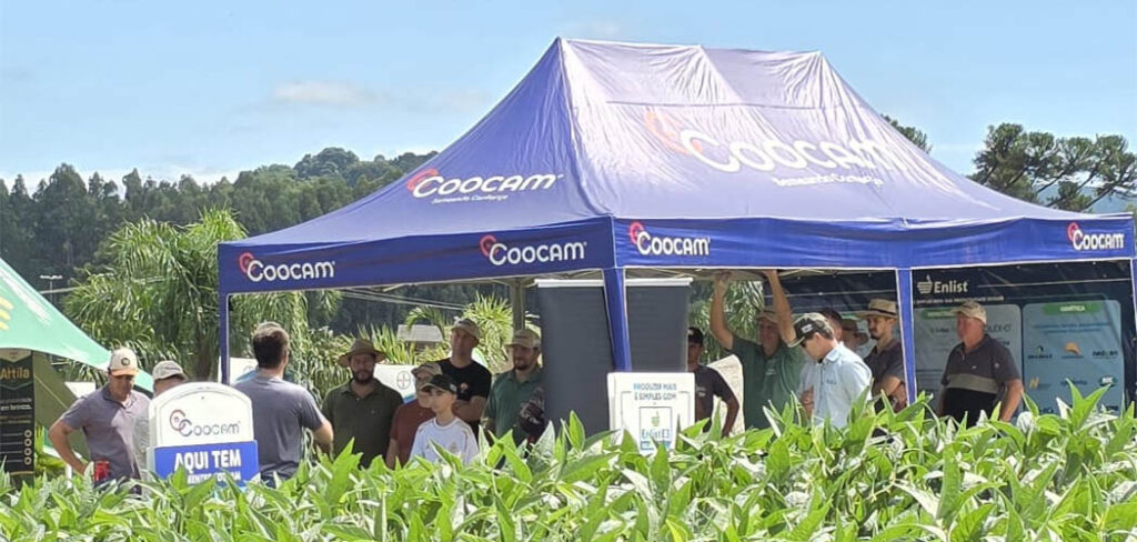 Dias de Campo Coocam 2026 reforçam tecnologia e manejo no campo