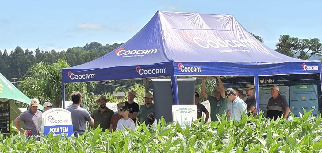 Dias de Campo Coocam 2026 reforçam tecnologia e manejo no campo