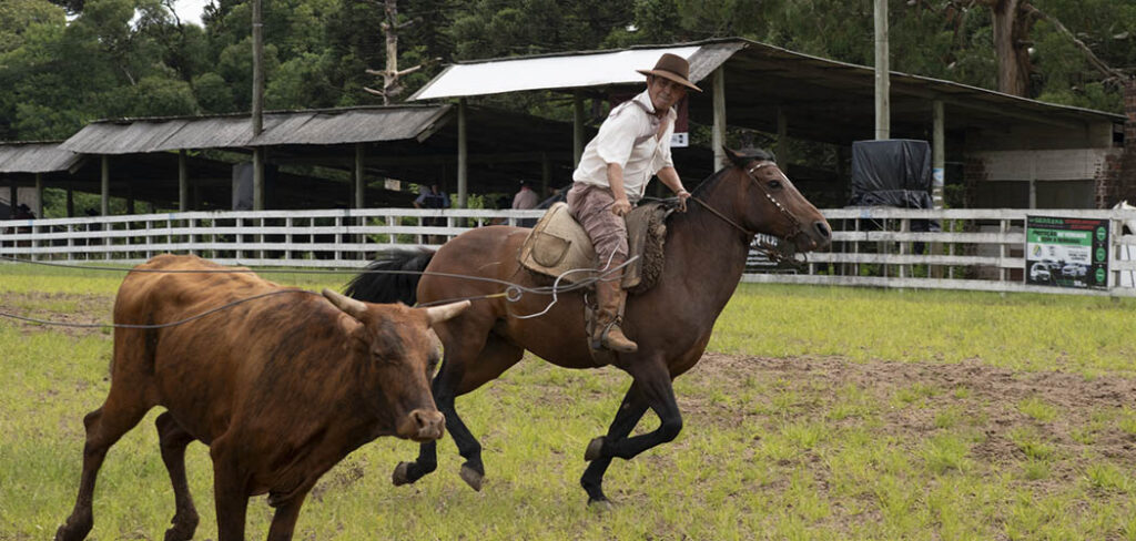 Rodeio Crioulo Nacional de Canela abre as porteiras e celebra a tradição gaúcha