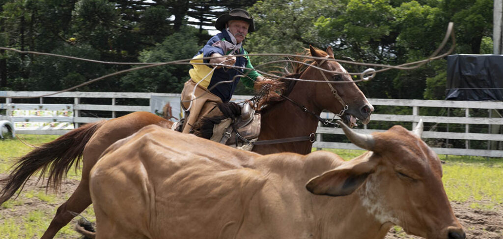 Rodeio Crioulo Nacional de Canela abre as porteiras e celebra a tradição gaúcha