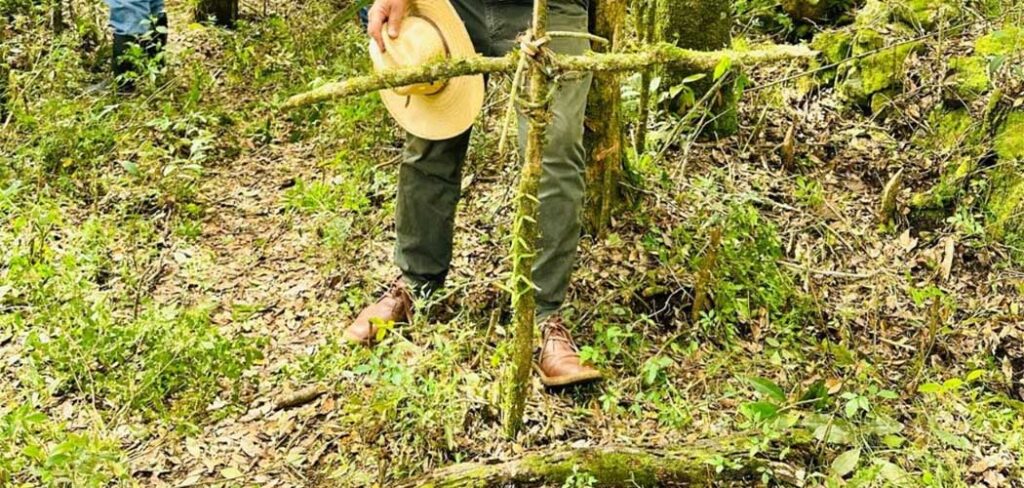 MPSC preserva de sítio histórico em Vargem Bonita