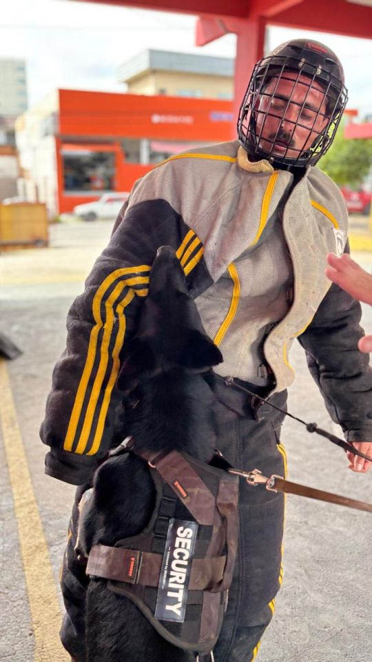 CBMSC realiza instrução prática sobre captura e manejo seguro de cães